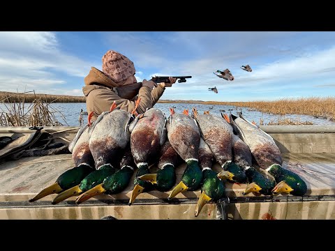 Duck Hunting Drake Mallards on a Hidden Lake! (Limited Out) 