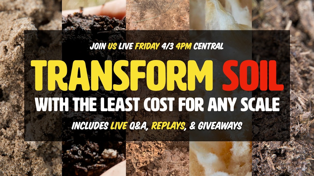 Transform Soil with the Least Cost at Any Scale