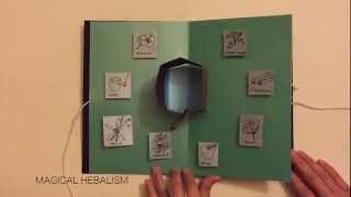 The Pop up Book Of Shadows