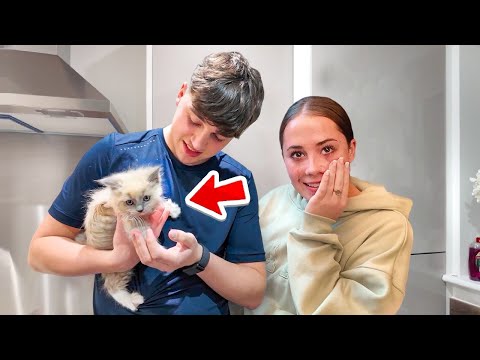 Surprising My GIRLFRIEND With Her DREAM Pet!