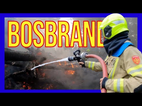 Waldbrand - FREIWILLIGE NIEDERLÄNDISCHE FEUERWEHRLEUTE -