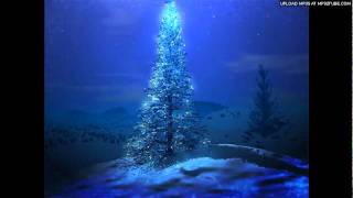 Christmas Lights - Tinyfolk (Paul Baribeau cover)