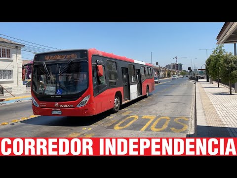 Movimiento de Buses en Corredor Av. Independencia