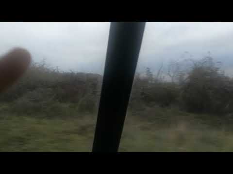 La tara #1 in drum spre Esechioi