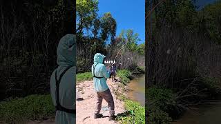 Using Small Bait To Catch BIG Fish #fishing #fishingvideo #gar #garfishing
