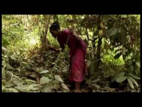 KAREYCE FOTSO mayole.wmv
