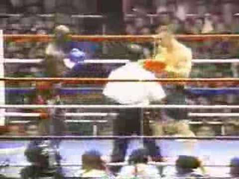 Ernesto Hoost vs Mirko Cro Cop
