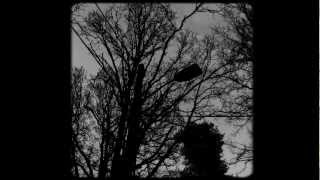 Nick Drake - Leaving Me Behind