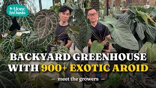 Exotic Aroid Backyard Greenhouse Tour | Meet the grower with Pro Tips