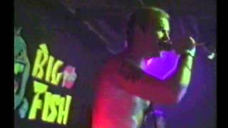 Slightly Stoopid - Mr Music