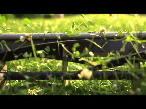 video frame placeholder