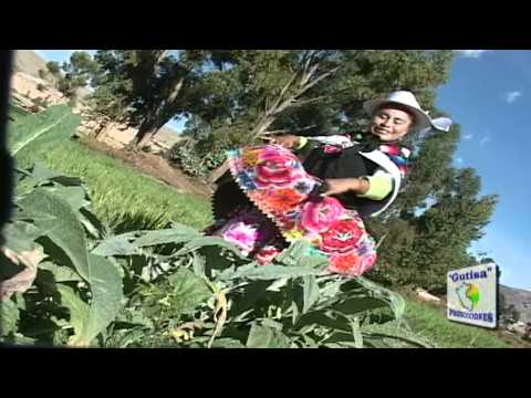 HAYDEE RAYMUNDO   HUAYLARSH