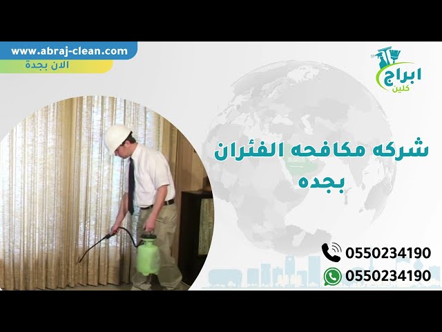 شركة مكافحة الفئران بجدة