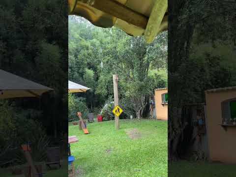 Cafeteria Moara em Cunha-sp #saopaulo #turismosp