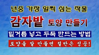 [텃밭농부 1,777]  년중 가장 먼저 심는 작물. 감자밭에 밑거름 넣고 토양만들기 #감자재배