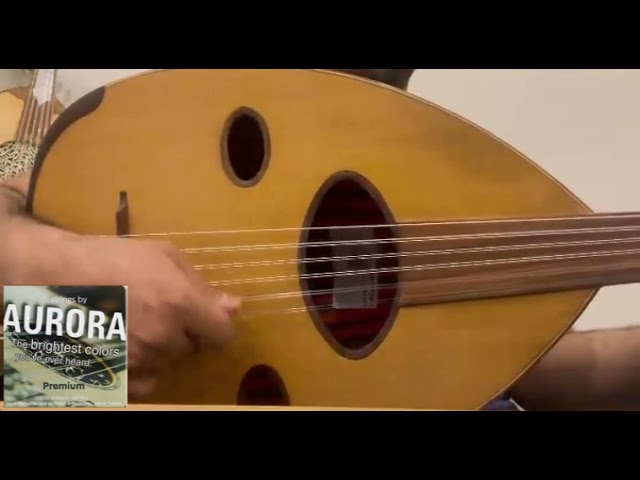 اوتار ارورا ابيض دوزان فافا عراقي 11 وتر