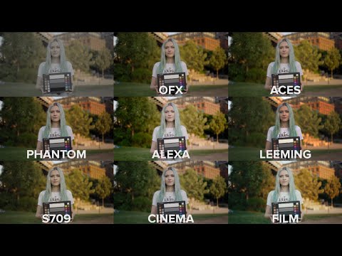 Best Slog3 LUTs Compared (S709, Phantom, Leeming, ACES, Alexa Color)