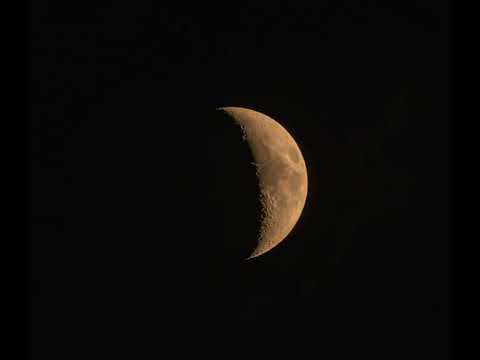 Pegasus Astro NYX-101 tracking the moon test.