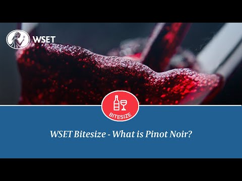 WSET Bitesize - What is Pinot Noir?