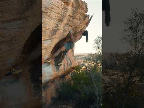 Albatross 8A/v11 ✅ I had to brush off my dyno skills the other day! What a sick climb.