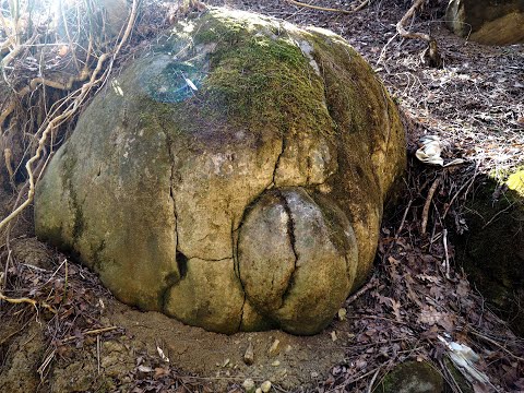 Trovantii din catunul Zapodia| jud. Buzau