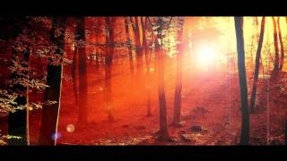 Julianna Barwick  "Prizewinning"