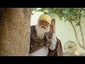 ਲੋ ਜੀ ਪੈ ਗਈ ਵਿਆਹ ਚ ਭਸੂੜੀ Lo Ji Pai Gayi Vayah Ch Bhasoodi Manje 