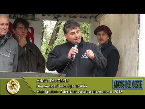 26-09-18 Bienvenida Carlos Ojea Rullan - Angus del Oeste - Huanguelen