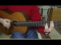 Gipsy Kings --- Calaverada (guitar play-through)