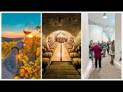 Evadare în Dealu Mare - un tur de crame #PesteAsteptari