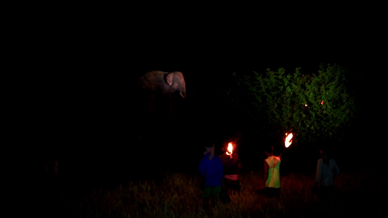 Hullah Drive gone wrong-Jhargram, West Bengal, India.