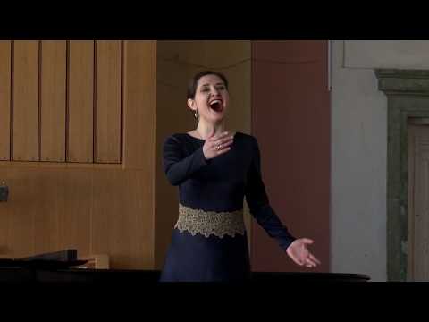 Степанида Шевченко - Ария Джоконды, А.Понкьелли