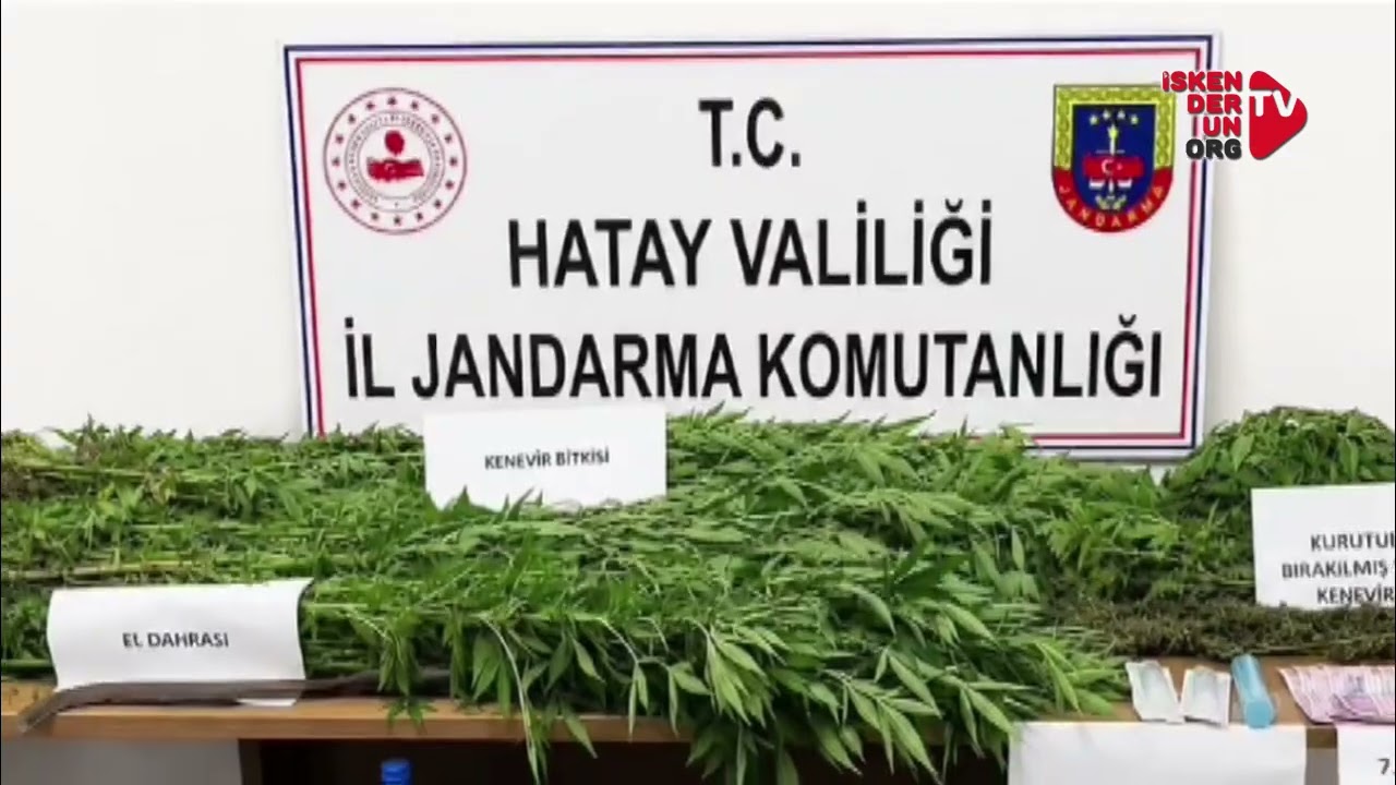 Dörtyol'da Jandarmadan Uyuşturucu Operasyonu: