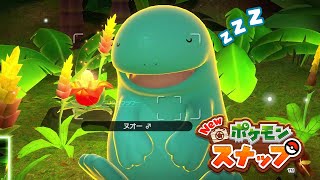 ミッケジャングル（夜）を初調査！ | はぐのまったり「ポケモンスナップ」#9