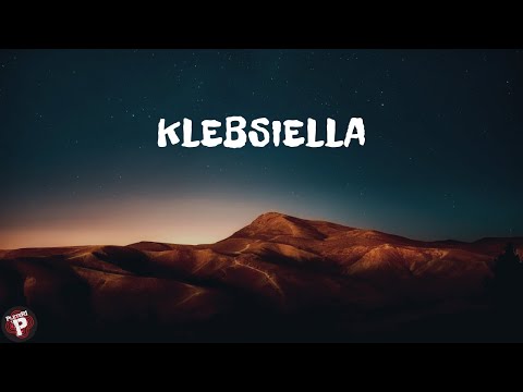 PleteRi - Klebsiella(Official video)