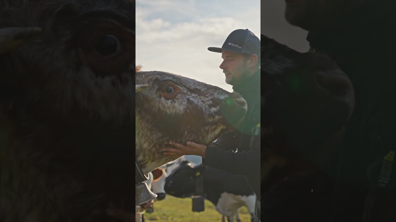 Klanschta BIO Fleisch - Produkt Video