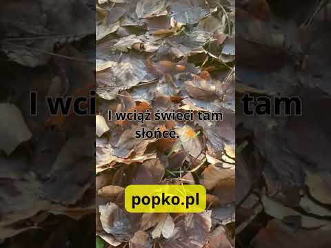 [Encyklopedia Wiedzy Duchowej] Czasami wydaje nam się, że trudne doświadczenia przykryły wszystko, co w nas dobre i radosne. Że to,