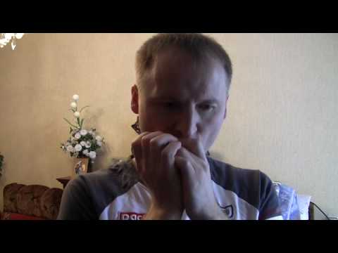 JJ Milteau Randy and Ry