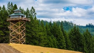 Treehouse Without the Tree: Life in a Fire Lookout
