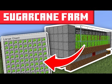 Minecraft Sugar Cane Farm 1.21.11+ - EASY DESIGN
