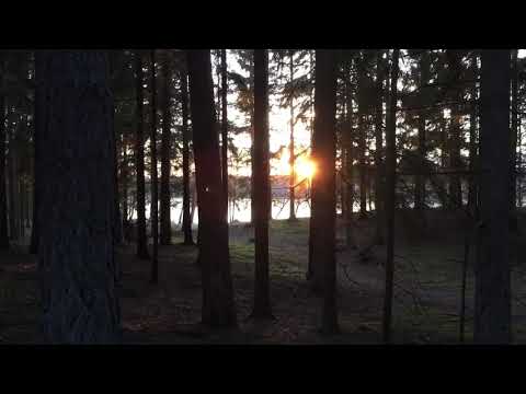 Hylses Blekingeturne - SÄNKSJÖN - F17 - Kallinge (Ronneby) - 190103 - iPhone SE (Hultet)-Värperydsv