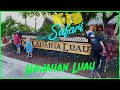 Hawaiian Luau Kid Safari