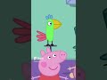 Peppa Pig Polly Parrot Shorts
