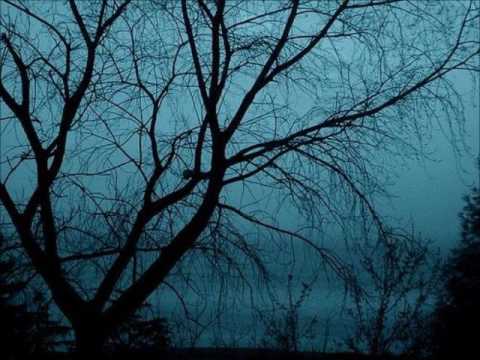 Hector - Olet Lehdetön Puu