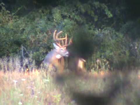Sept 09 Big 8