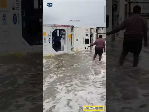 Some lucky people found a cargo container from the sea