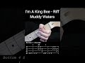 I'm A King Bee - Muddy Waters - Intro Riff - Easy Blues  Guitar Lesson (6) #shorts