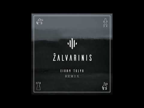 Žalvarinis ir Veronika Povilionienė - Einam tolyn (Mylia Remix)