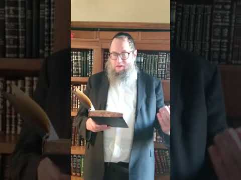 Rabbi Scheiner Yud Shvat Video