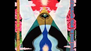 Acid Mothers Temple & the Melting Paraiso U.F.O. - Astrorgasm From The Inner Space